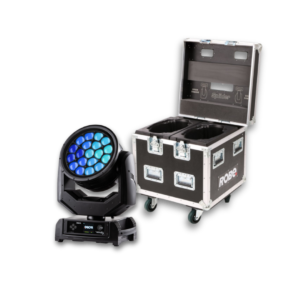 ROBIN SPIIDER IN DUAL TOP LOADER CASE